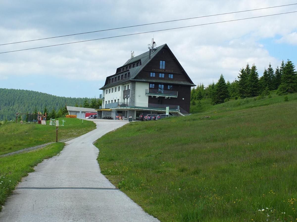 Horsky Hotel Friesovy Boudy Strážné Extérieur photo